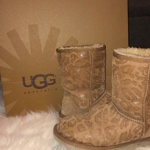cheeta print ugg boots